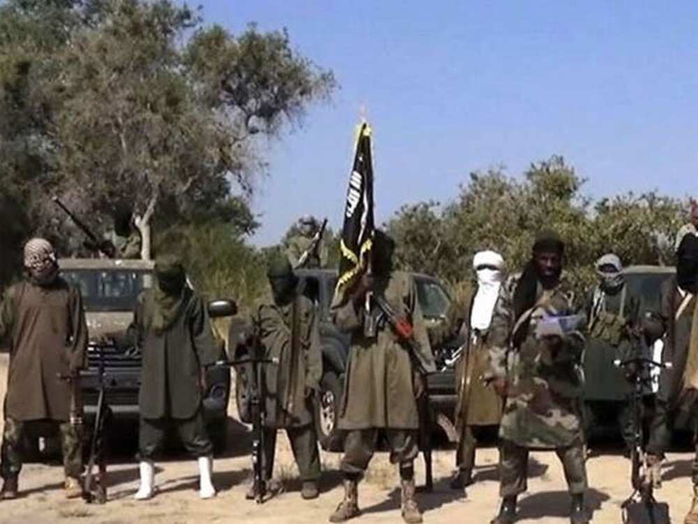 'Yan Boko Haram Sunyi Kisa a Borno, Sun Sace Kayan Abinci da Dabobi