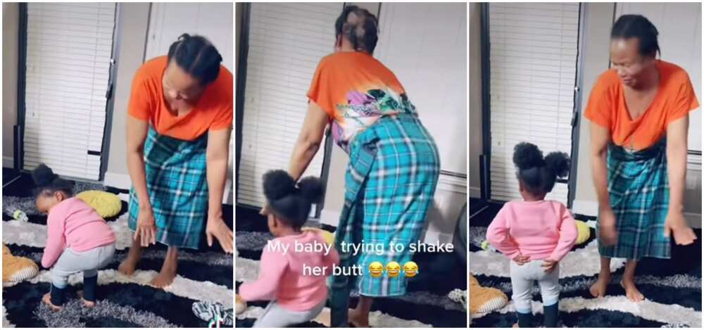 A little Nigerian kid recently danced with her grandmother and it was a delight to watch.