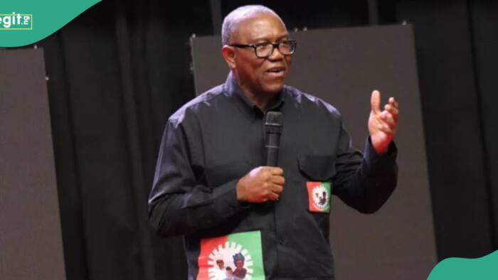 2023 Presidency: Labour Party reveals why Peter Obi didn’t protest after INEC declared Tinubu winner