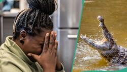 Tragedy as crocodiles devour prophet during baptism