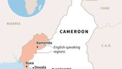 US charges three for supporting Cameroon separatists