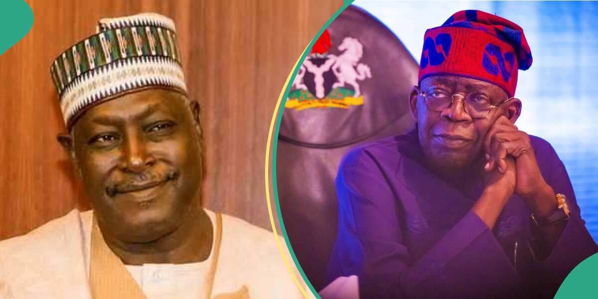“Hypocrite”: Northern group disowns Buhari’s appointee for attacking Tinubu, shares why