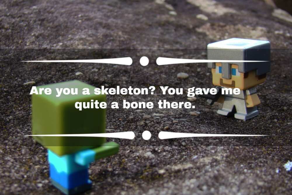 funny Minecraft pick up lines