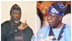 2023: Everything about Bola Tinubu is controversial, says Dino Melaye