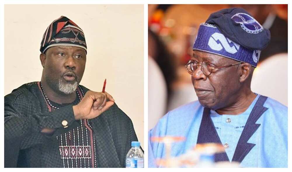 Dino and tinubu