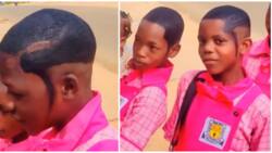Video of young boys rocking swaggy haircuts for their graduation trends online