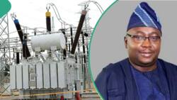"It must stop": Power minister instructs Nigerians to stop buying transformers, poles for DisCos