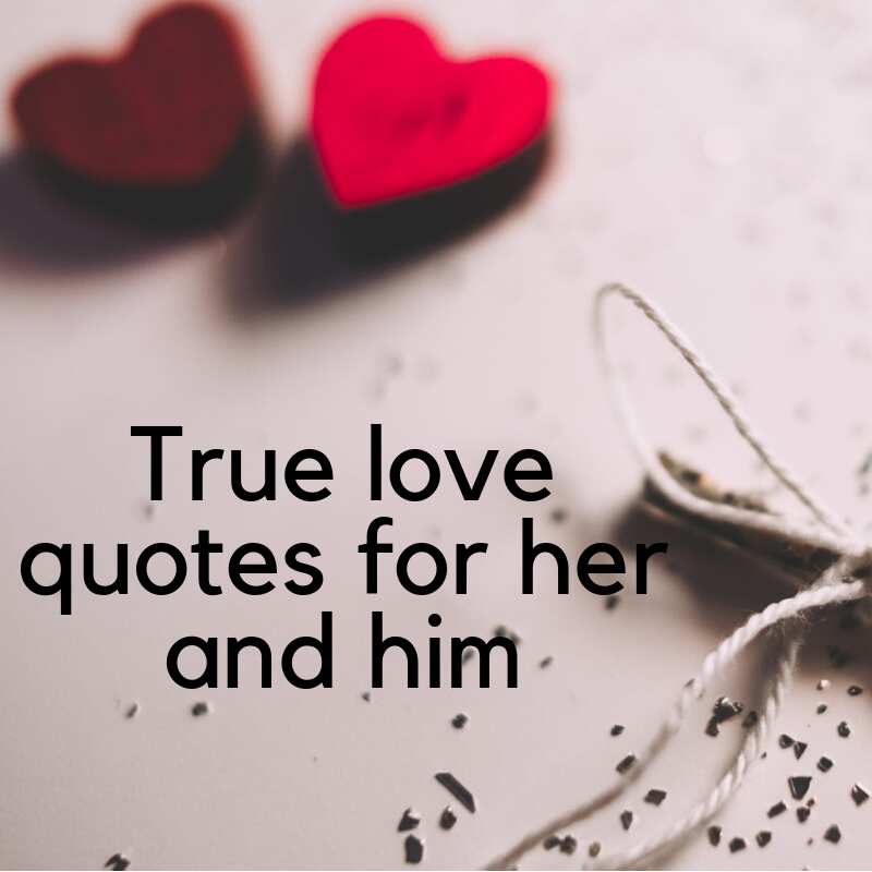 True Love Quotes