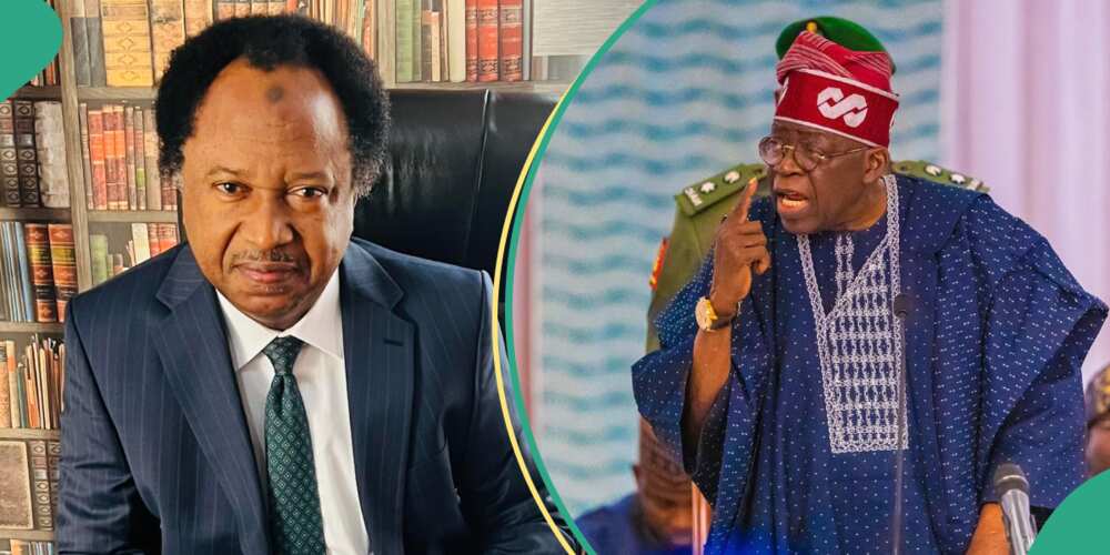 Shehu Sani sends message to Tinubu about EndSars protesters in prisons