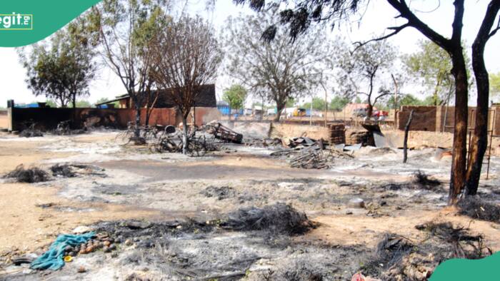 Tragedy as bandits kill newly married butcher, 20 others in Niger market attack