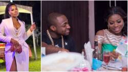 Davido’s Sophia Momodu tipped to join politics as she reveals details of invite to British High Commission