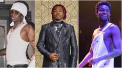 8 steps to becoming music star at a young age like Rema, Omah Lay, others by Christopher Okoye