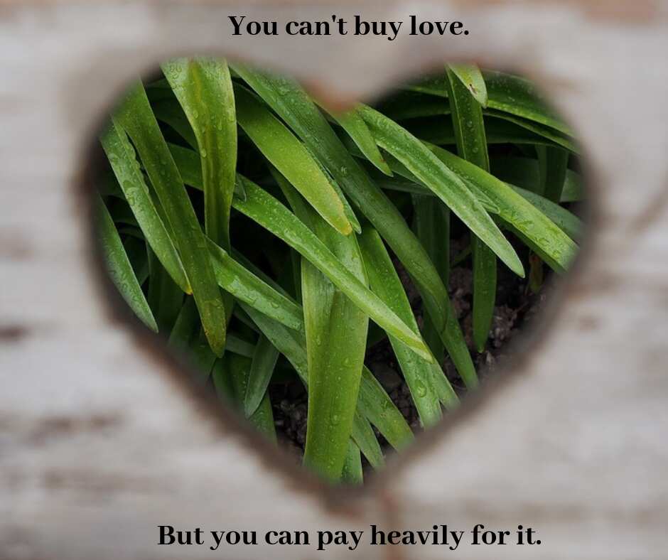 Sad broken heart quotes Sad broken heart quotes