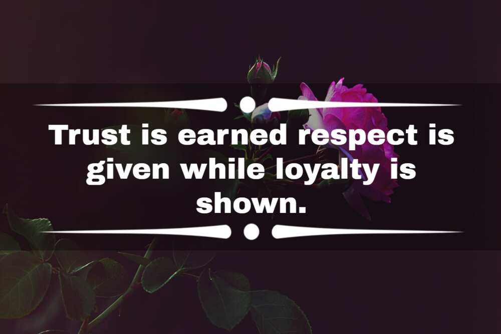 Gangster quotes about loyalty