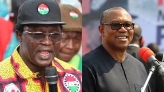 Peter Obi: Nigeria Labour Congress reiterates support for LP presidential candidate