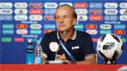 NFF makes big statement following reports Gernot Rohr has been sacked as Super Eagles coach
