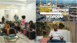 Big Brother Ikorodu: Cute Abiola, Adeniyi Johnson, OGB Recent, others play housemates in video