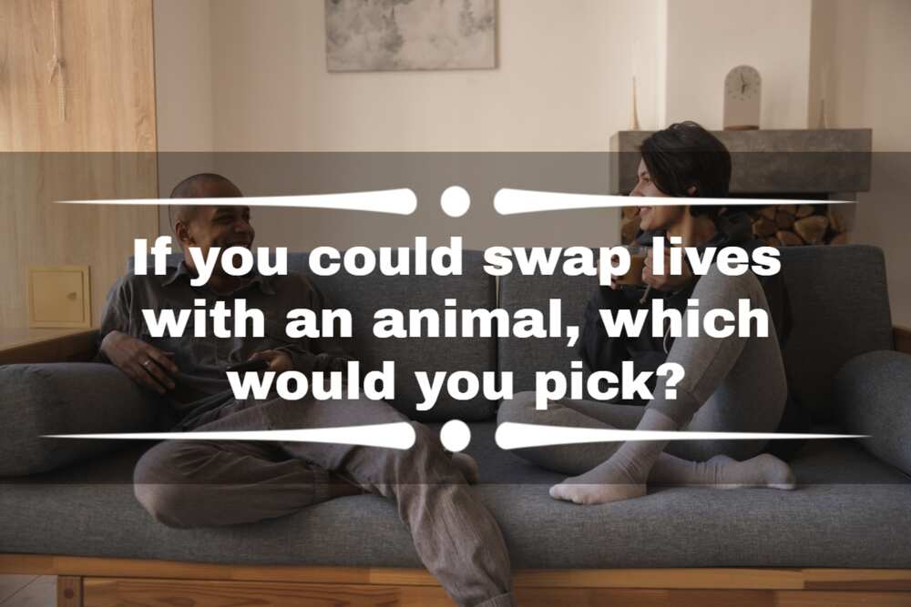 random questions to ask your girlfriend random questions to ask your girlfriend