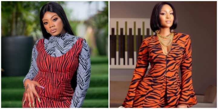 Back in Vogue: 7 Celebrity Fashionistas Rock Zebra Prints in Stunning ...