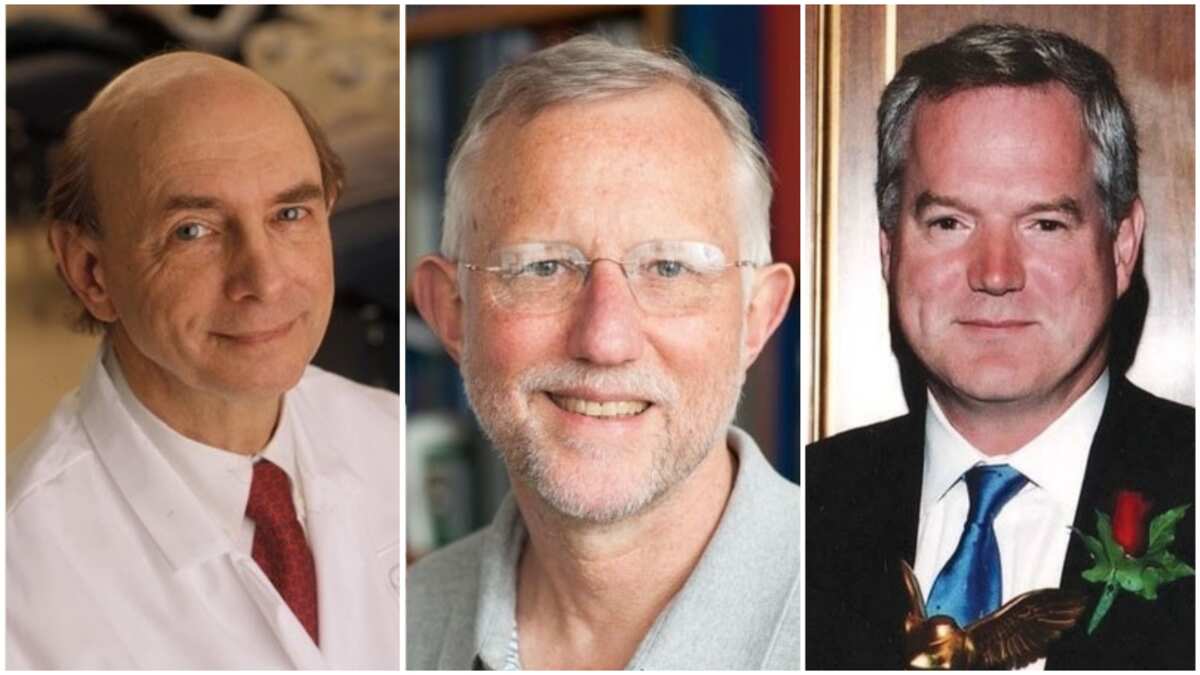 Nobel Prize in Medicine awarded to 3 joint winners for discovering ...