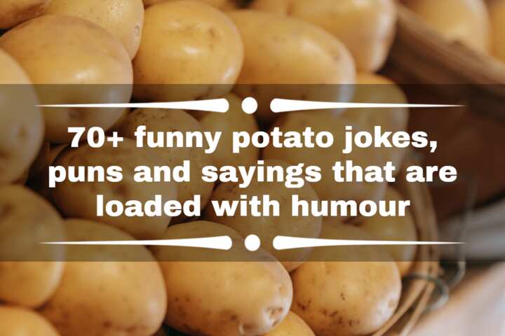 70+ funny potato jokes, puns and sayings that are loaded with humour ...