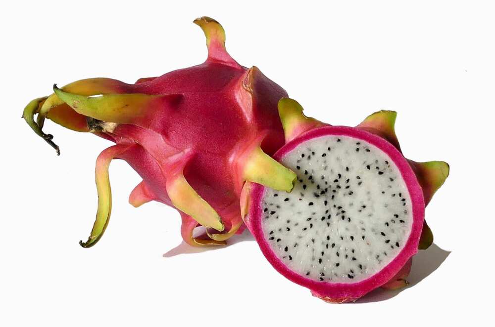 Fruit du dragon connu également sous le nom Pitaya Fruit du dragon connu également sous le nom Pitaya