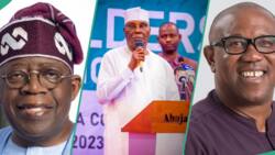 Eid-el-Maulud: Tinubu, Atiku, Peter Obi preach peace, tolerance to Nigerian Muslim faithful