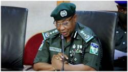 2023: IGP reveals punishment for governors sponsoring violence against opponents in their states