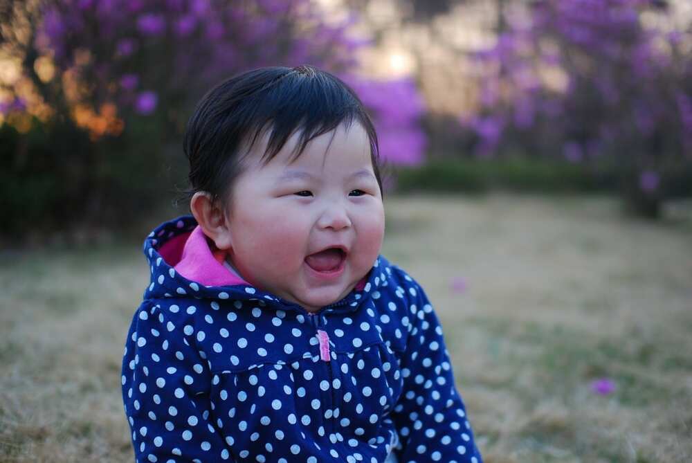 cute korean baby girl and boy