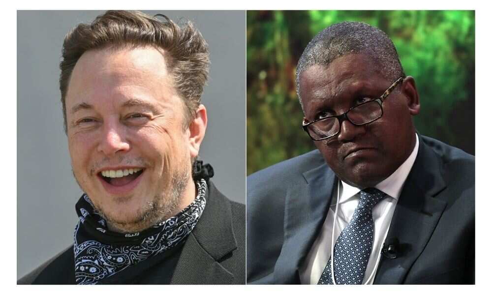 Elon Musk and Aliko Dangote