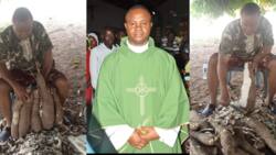 His cassava is very big: Reactions as Nigerian Catholic priest displays impressive harvest on social media