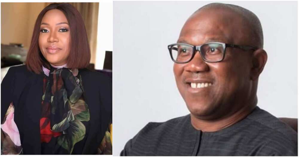 2023 general election, Anambra state, Labour Party, Peter Obi, Mrs. Margaret Obi