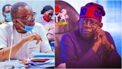 President Tinubu's FG dissolves governing boards of federal universities, ASUU reacts