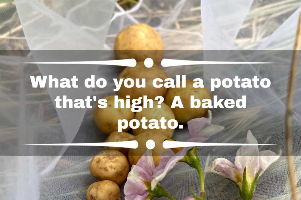 Baked potato jokes