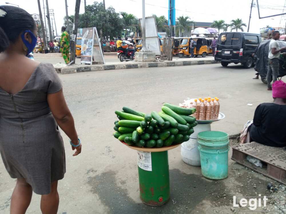 Regular consumption of cucumber keeps you hydrated just like watermelon. Photo credit: Esther Odili Regular consumption of cucumber keeps you hydrated just like watermelon. Photo credit: Esther Odili