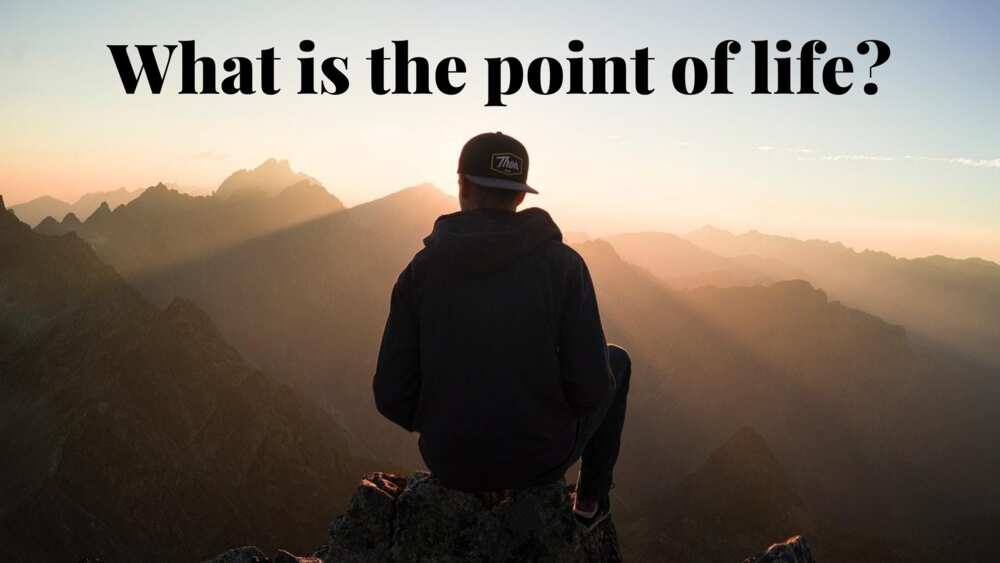 What Is The Point Of Life Quotes