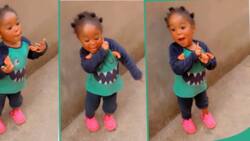 "Can she be my friend?" Swagalicious baby dances confidently to Kizz Daniel's song in sweet video