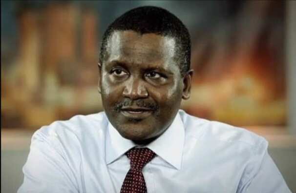 Aliko Dangote education history