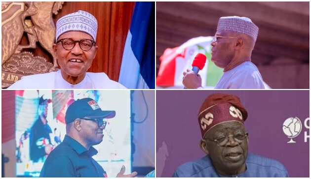 Buhari, Atiku, Peter Obi, Tinubu