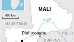 Mali says 50 jihadists 'neutralised'