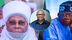 APC spokesperson reveals what will happen to Peter Obi, Atiku at Supreme Court: “No genuine case”