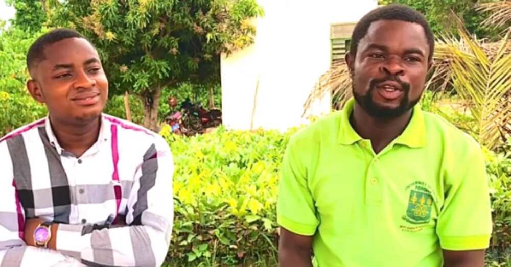 Meet the 26-year-old farmer who owns 50-acre farm, says he started while in secondary school