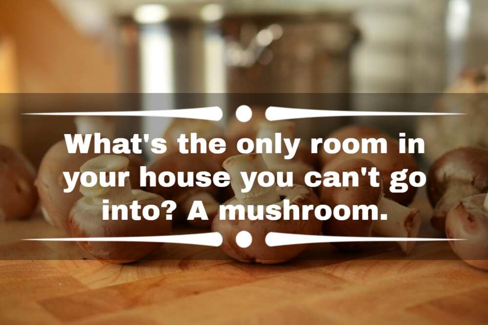 funny mushroom jokes