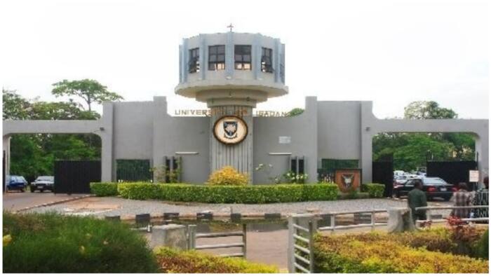 Convocation: Ban against non-First Class graduates still in full force, University of Ibadan insists