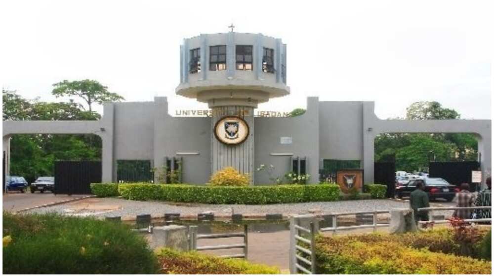 University of Ibadan, JAMB, UTME