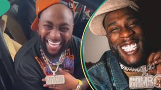 Beryl TV 0e06e1e002f3d315 Fans Compare Burna Boy’s Wealth to Lil Baby’s After the US Star Performed in Dubai Without Smoking Entertainment 