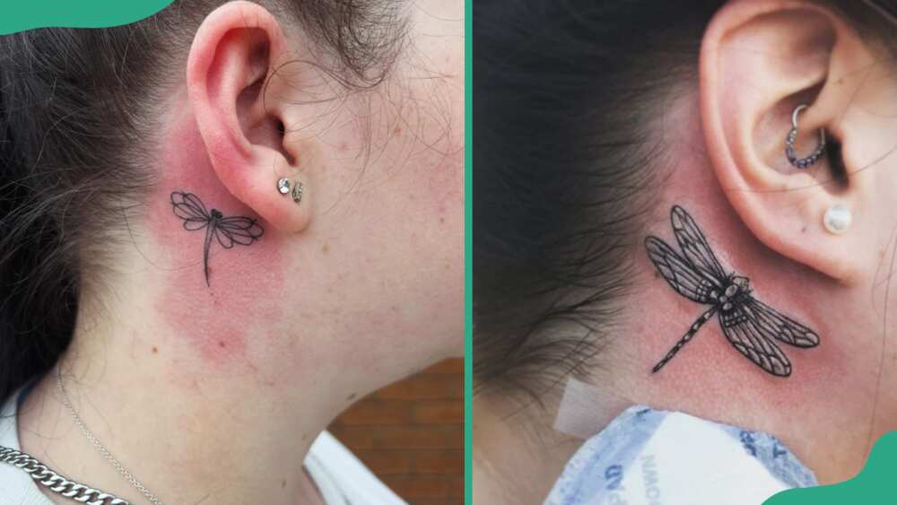 Behind-the-ear dragonfly tatoos