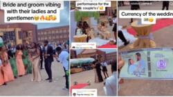 UNIBEN students organise mock wedding for 2 classmates in school as their exam, videos stun many