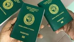 Worry as Ministry Explains Why Over 150 Nigerians Renounced Citizenship in 2022