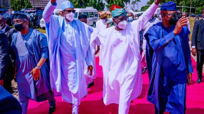 2023: I won't allow 'paper weight' politician to succeed me, Buhari finally declares